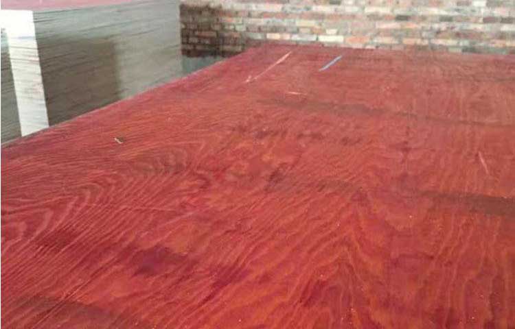 直销红色松桉木模板「建筑红板」