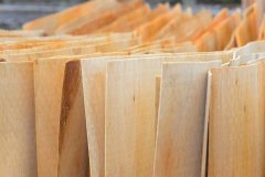 桉木板占据全国建筑木模板市场80%-