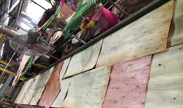 贵港建筑模板木材生产基地-林世界木业板材生产基地