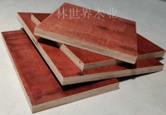 广西建筑模板价格上涨了-建筑模板一货难求